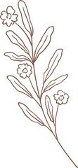 Line Drawing Flower
