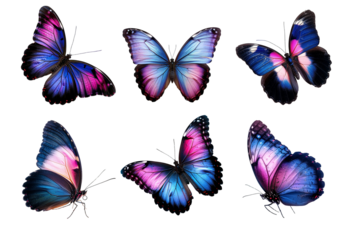 set of blue and pink butterflies isolated