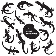 Editable vector 13 gecko silhouettes. Set collection isolated black on white background