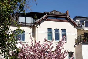Fototapeta na wymiar Altes Wohngebäude im Frühling mit Magnolienblüte, Mehrfamilienhaus, Bremen, Deutschland