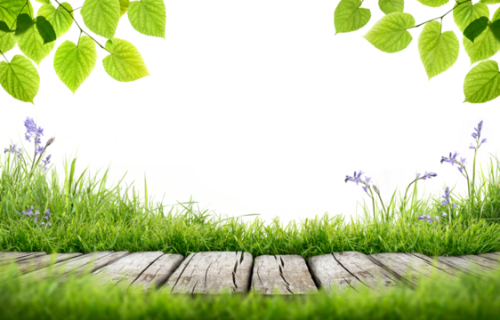 A blank fresh, lush green spring, summer product display background template with a rustic wooden bench, green grass and tree leaves isolated against a transparent background