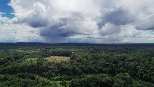Guyane, la r&eacute;gion de Cacao