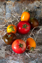 Mix from red, yellow and green tomatoes. Italian Cuisine. Dark background