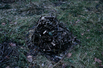 Gałęzie ułożone na palenisko. © Wojciech