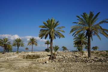 Megiddo National Park