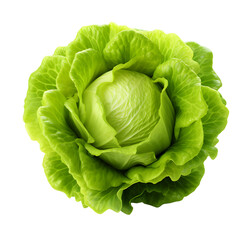Obraz premium lettuce, cabbage, vegetable, food, , leaf, plant, organic nature, healthy, dicut, PNG file, isolated background.