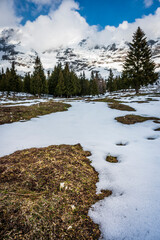 Obraz na płótnie Canvas Snow on Mount Canin and Montasio. Spring snow