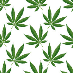 Seamless pattern of hemp leaves. Background of cannabis leaves on a white background. Print, vector