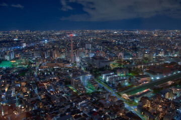 Fototapeta premium 夜の都会の夜景