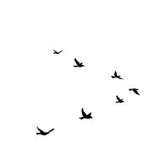 Flying Bird Silhouette