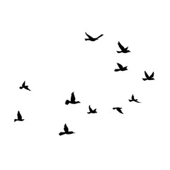 Flying Bird Silhouette