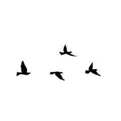 Flying Bird Silhouette