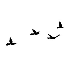 Flying Bird Silhouette