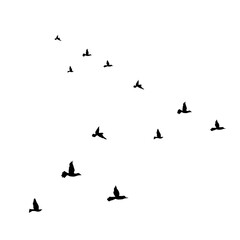 Flying Bird Silhouette