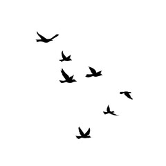 Flying Bird Silhouette