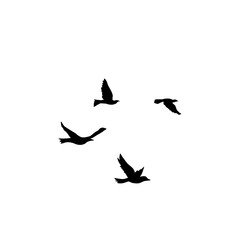 Flying Bird Silhouette