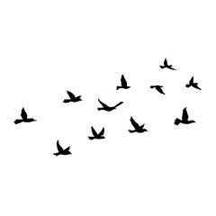 Flying Bird Silhouette