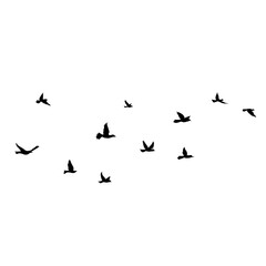Flying Bird Silhouette