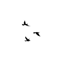 Flying Bird Silhouette