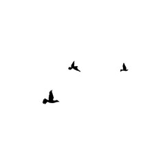 Flying Bird Silhouette