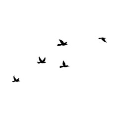 Flying Bird Silhouette