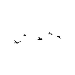 Fototapeta premium Flying Bird Silhouette