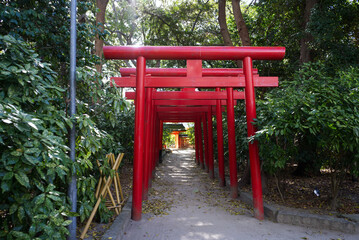 view of the many torii gates at Sumiyoshi Shrine in Fukuoka