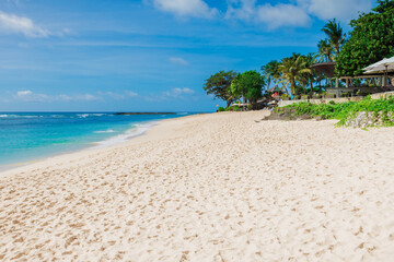 Tropical holiday beach in Bali. Scenic coastline with palms.