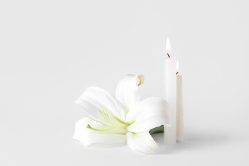 Beautiful lily flower and burning candles on grey background