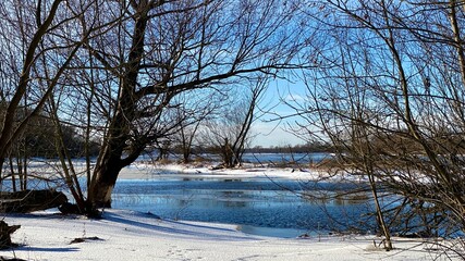 Fototapeta na wymiar Winter landscape of the Narew River in Poland