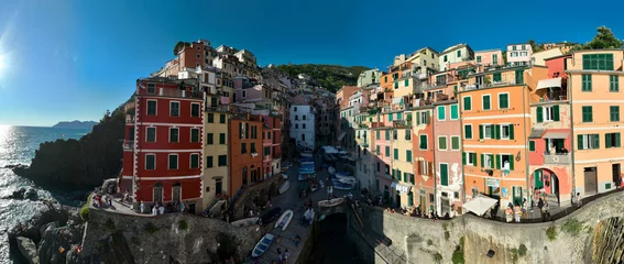 Foto op Canvas Manarola Village Cinque Terre Coast Italy. colorful town in Liguria one of five Cinque Terre. Manarola traditional Italian village in the National park Cinque Terre, with multicolored houses on rock © .shock