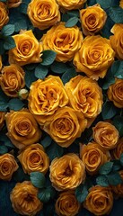 Naklejka premium many beautiful yellow roses, valentine's day mood