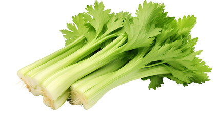 Fresh Green Celery on White on a transparent background