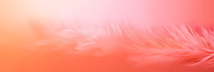 Gradient delicate background color peach fuzz.