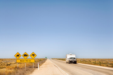Nullarbor Plain, South Australia - Car and caravan on the Eyre Highway, Nullarbor Plain, including iconic sign look out for camels, kangaroos, wombats. This is called the Treeless Plain.