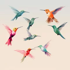 Fotobehang Kolibrie  Small tropical hummingbird birds with bright wings in flight, on a light background, flowing colors of a watercolor illustration.The concept of making postcards, invitations, prints