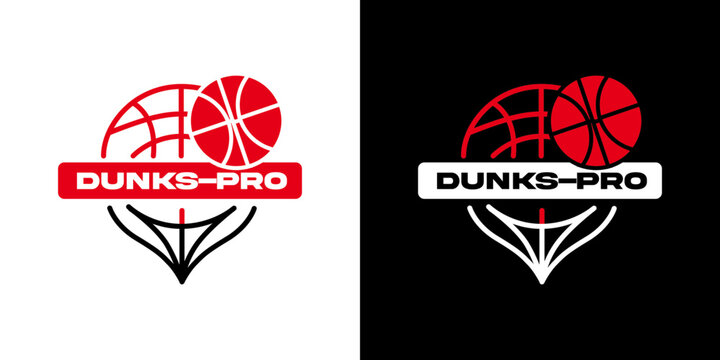 Basketball Logo Professional Style 5