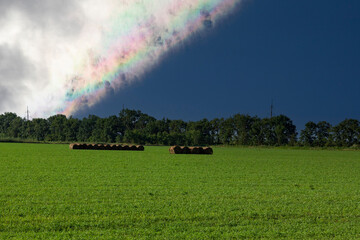 Agricultural field of green color and stacks of cut grass against the backdrop of a rainbow on a blue sky.