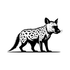 hyena vector illustration realistic | Silhouette of a hyena black and white