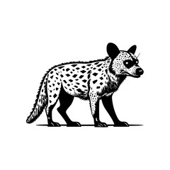Hyena silhouette black and white | Hyena vector illustration isolated on white background