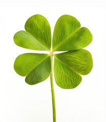 A single, vibrant green clover leaf with four symmetrical lobes. The leaf’s veins are clearly visible.