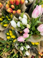 tulip bouquets festive spring mood