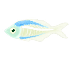 illustration X-ray fish image 