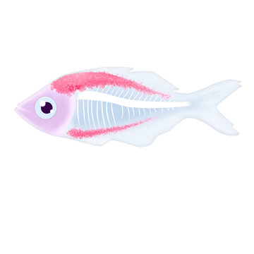 illustration X-ray fish image 