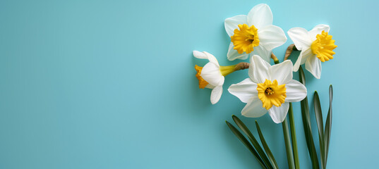 Fototapeta na wymiar Easter Blooms: Daffodils and Narcissus for Happy Easter Holiday Celebration Banner Greeting Card on Blue Turquoise Paper Background
