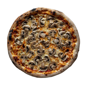 pizza funghi with mushrooms . Clipart PNG image . Transparent background . Generative AI 
