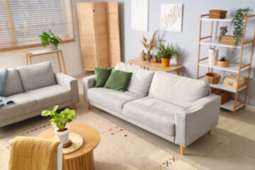 Interior of modern living room with sofas and plants
