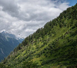 Fototapeta na wymiar A la découverte des Alpes : le Mont Blanc
