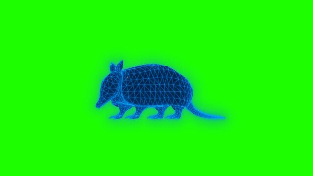 4k green screen Armadillo technology video. Armadillo technology video, Armadillo 360 turn, Armadillo wireframe video