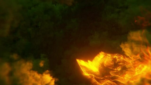 Fire Phoenix Bird Animation. Flying Phoenix Flame For Intro HD
